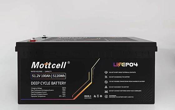LiFePO4 Batteria al litio industriale 48V 100Ah Per carrelli elevatori elettrici e energia solare